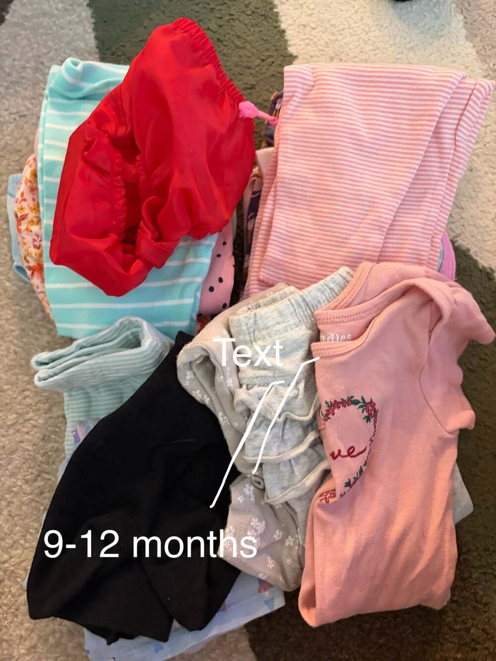 Baby Girl Clothing Assorted Lot Bundle 9-12 Months Mixed Brands